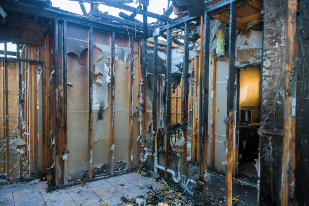Professional Odor Removal technician working in Glenwood City, WI