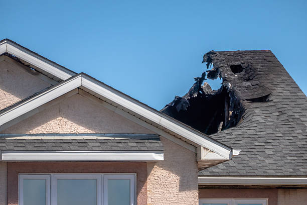 Top rated local Odor Removal specialists in Glenwood City, WI